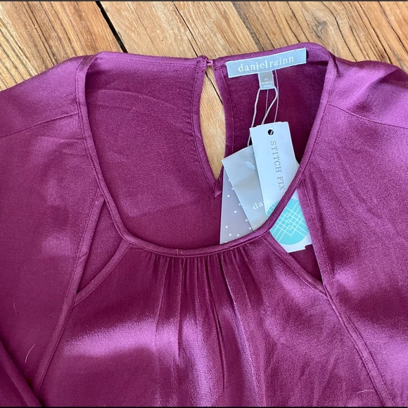 Daniel Rainn Burgundy Blouse - Picture 3 of 7